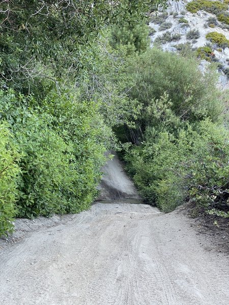 Kings Canyon Fire Road - Steeper Section that beginners my need to walk