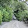 Kings Canyon Fire Road - Steeper Section that beginners my need to walk