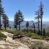 Carson Marlette Fire Road - View of Carson City