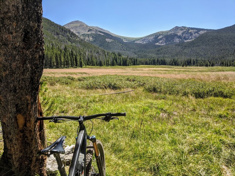 The rocks and roots are worth it for the views!