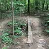 Log bridge at Zack's Fork