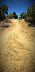 Snake Trail and Anasazi Trail intersection