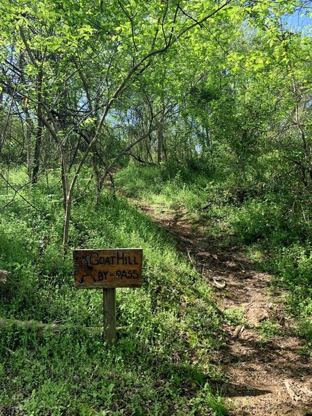 Goat Hill at Signal Hill MTB Trail