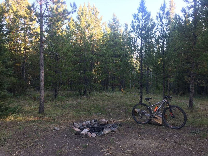 Campsite next to the 1214.1 Pinkham Mountain Loop Trail