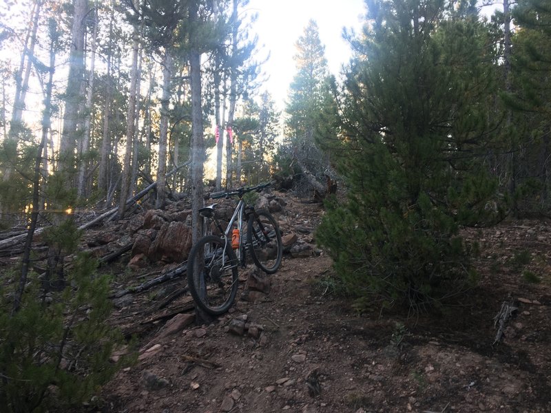 Steep climb (or descent, depending on your direction) on the 1214.1 Pinkham Mountain Loop Trail