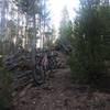 Steep climb (or descent, depending on your direction) on the 1214.1 Pinkham Mountain Loop Trail