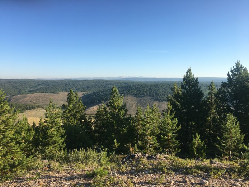 NF916.1 Pinkham Mountain Loop - Overlook viewing Medicine Bow Peak summit, Snowy Range, WY