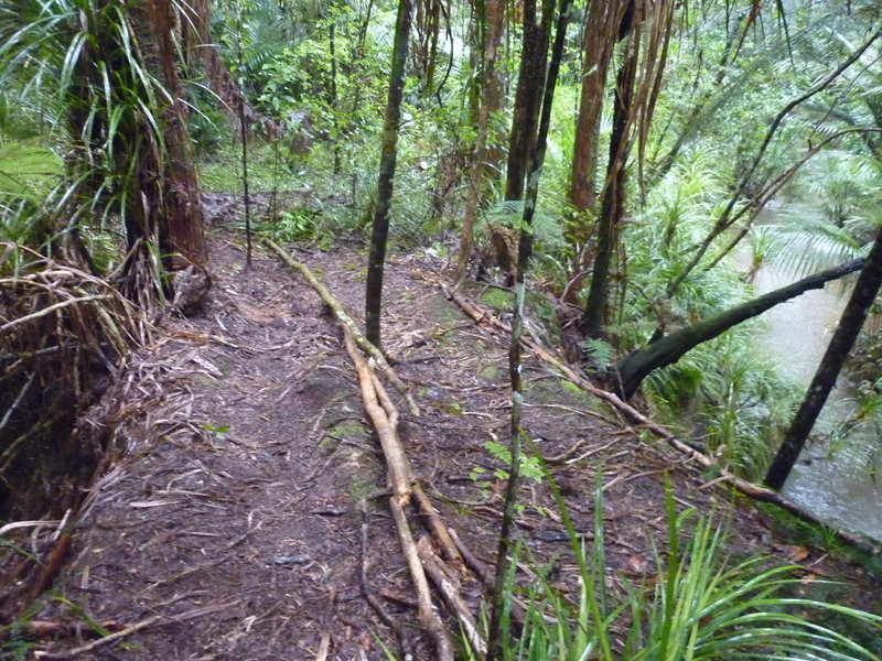 Trails run in/out across narrow gap