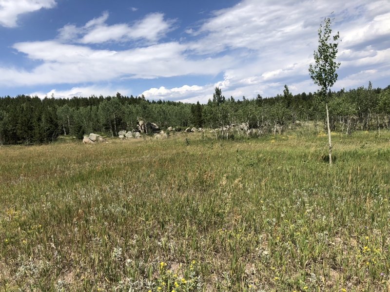 Open field along the trail