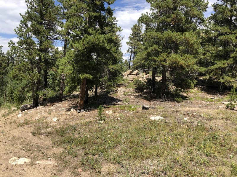 Rock outcropping before descent to loops