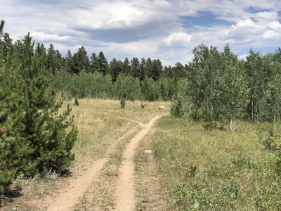 Choosing between Blue Dot Trail (left) and Yellow Dot Trail (right).