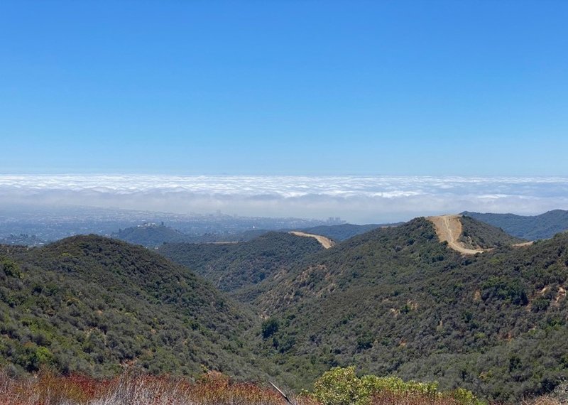 Looking down on singletrack trail that follows the ridge along the westridge fire road.