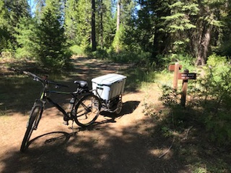 Collecting Pine cones on the Musick Meadows Loop.