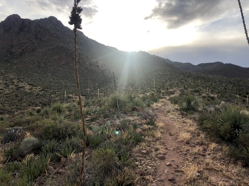 Looking back near the top of the trail.