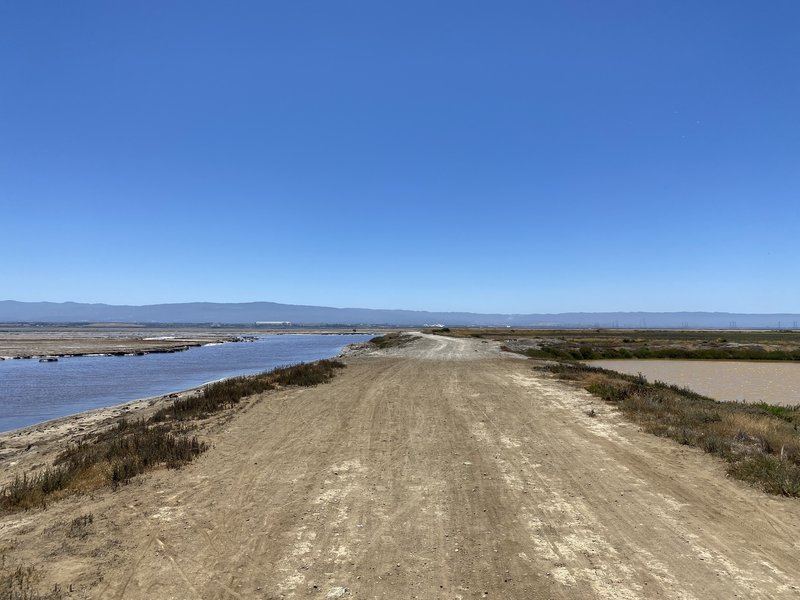 Alviso Slough Trail - Wide Family-friendly trails