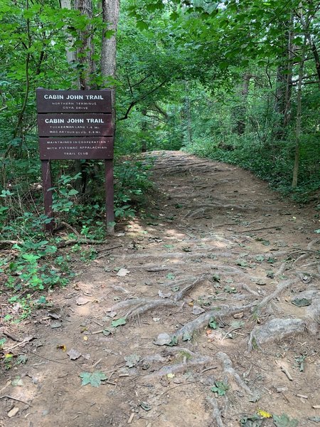 Cabin John Trailhead