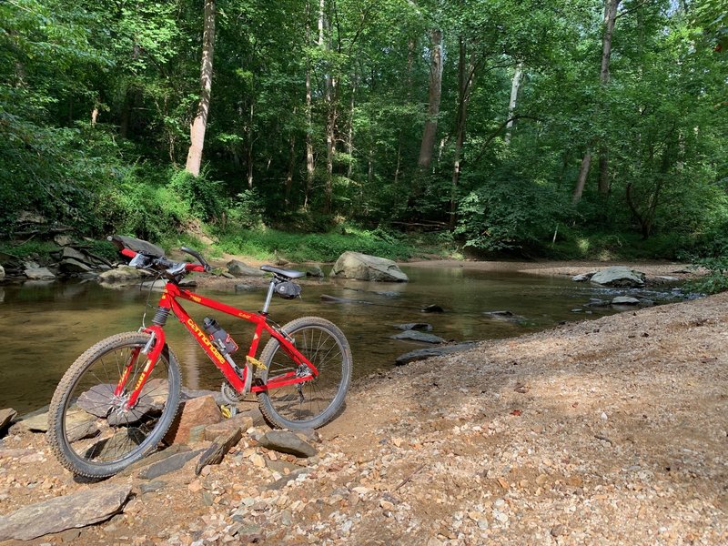 Creek Bank off Cabin John Trail