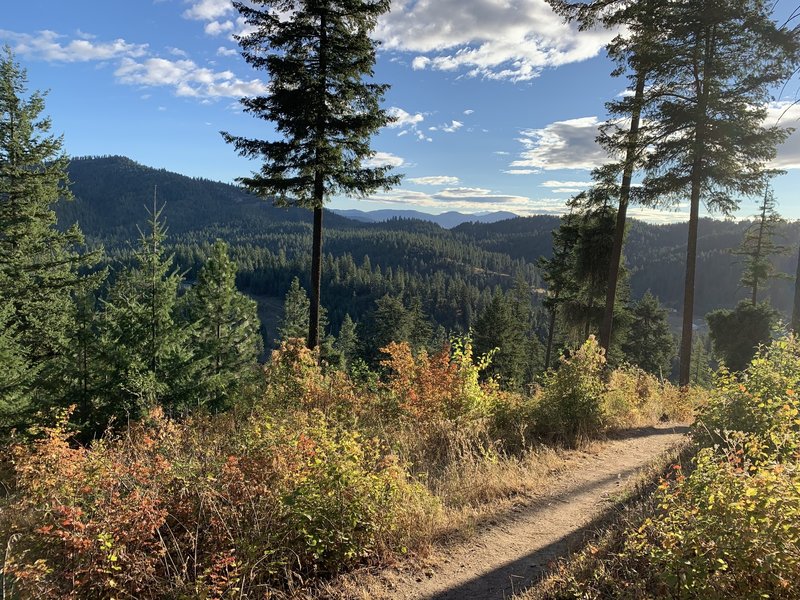 Start of the downhill on Canfield Gulch.