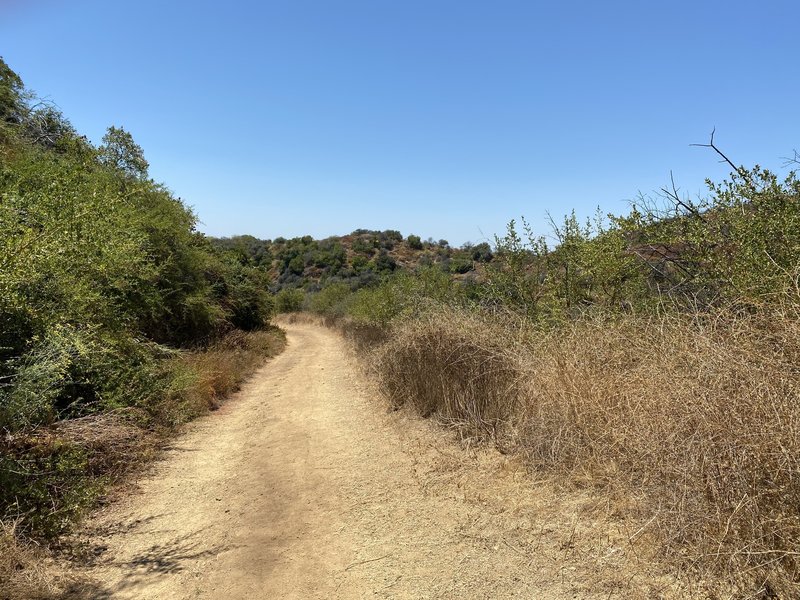 Wide trail, easy ride.