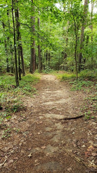 Tribble Park