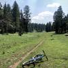 The smooth singletrack at the top of Baily Canyon, around 8,500 feet.