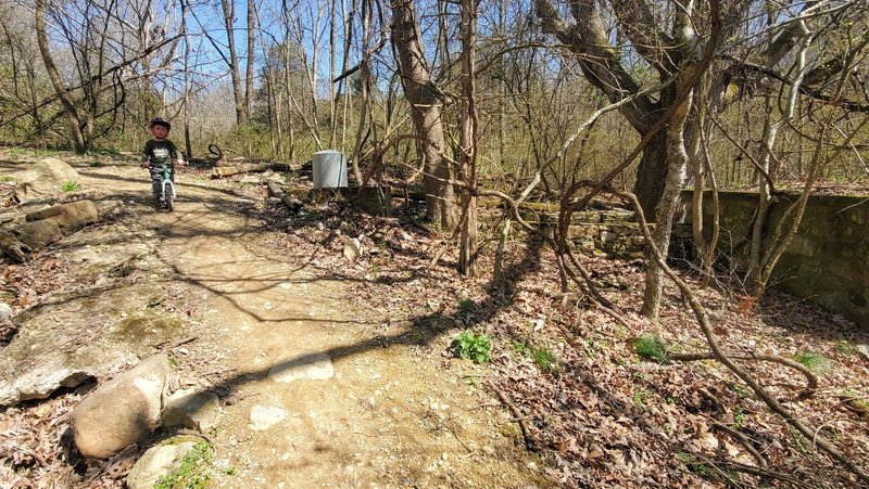 Creekside at the springhouse.