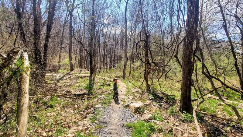 Creekside Trail near old house.