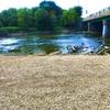 Des Plaines River Trail (Yellow)