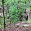 2 Bridges in first mile of trail visible from upper trail.