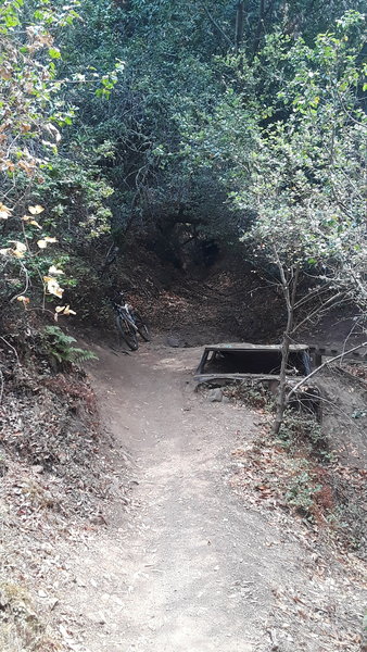 On Rambler Trail, random abandoned car as a singletrack feature. Another cool easter egg in the park.