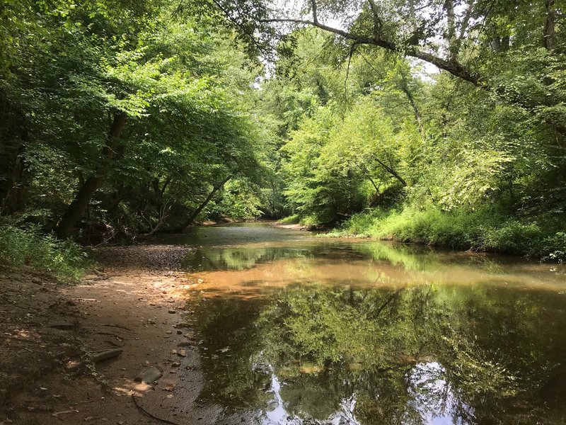 Raccoon Creek