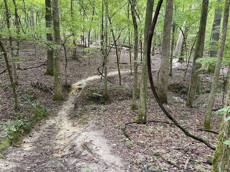 White Trail