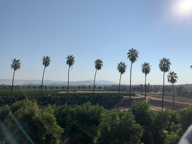 A view back from the Citrus State Historic Park.