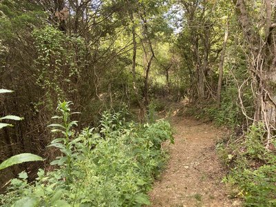 Nice meandering wide singletrack.