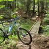 There are ten small bridges on the lower mile of Allegheny Trail.