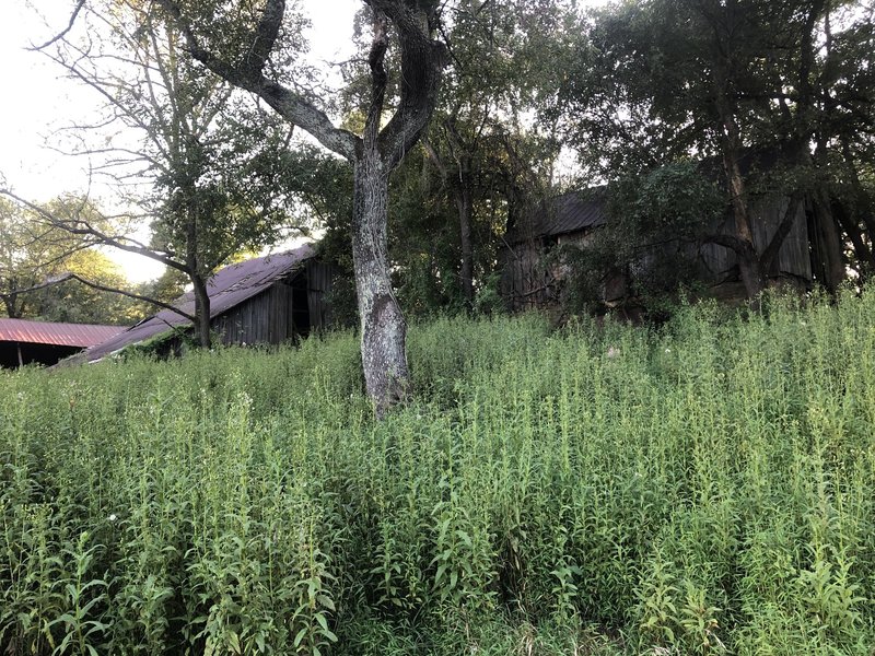 Old farmhouses on the Woodstock to Driver Thru Trail.