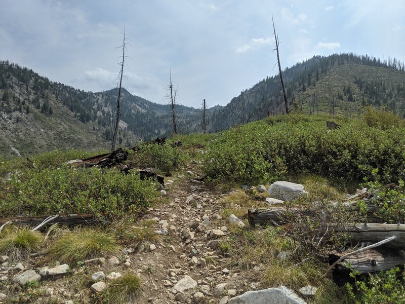 Rough, loose trail climbing up Horse Heaven.