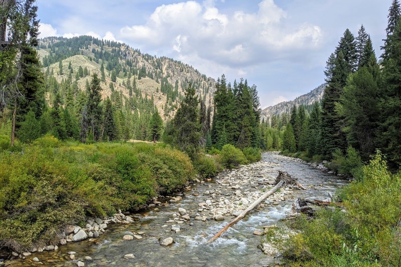 Boise river towards the end of the loop.