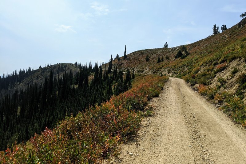 Big gravel road climbs.