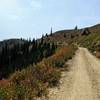 Big gravel road climbs.