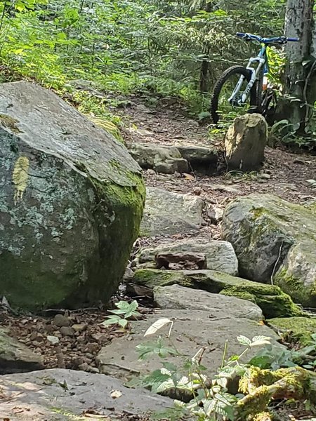 A rock path across a small stream.