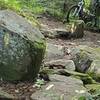 A rock path across a small stream.