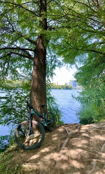 Lady Bird Trail