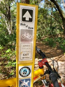 Fun little trail. Perfect for my 1998 Trek Y11.