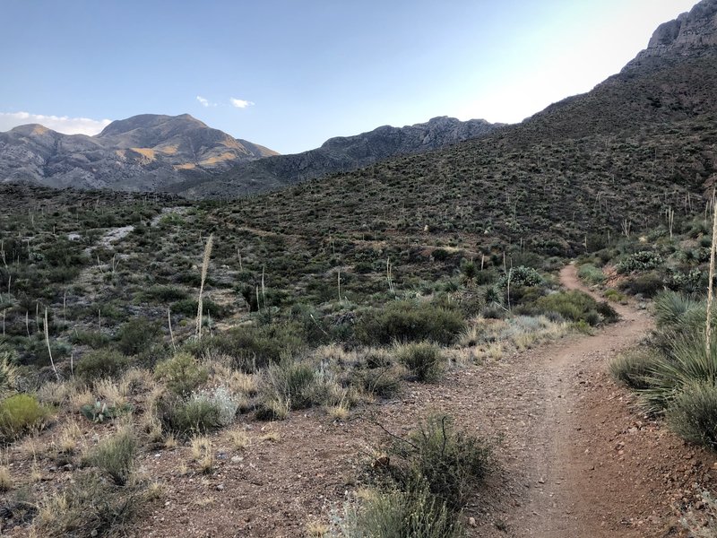 Looking south, halfway through the trail.