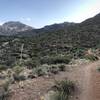 Looking south, halfway through the trail.