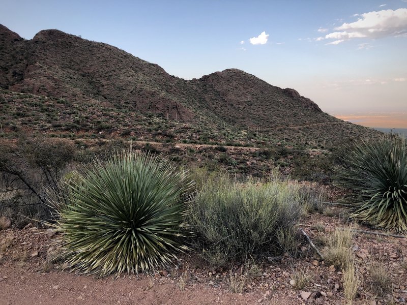 Looking north, over the trail looping around the mountain.