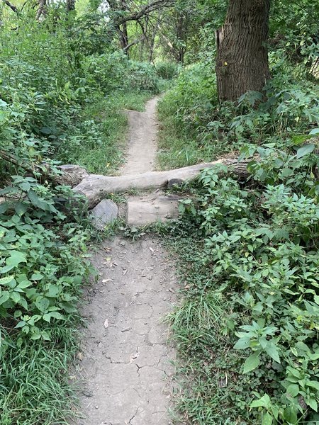 Trail obstacle