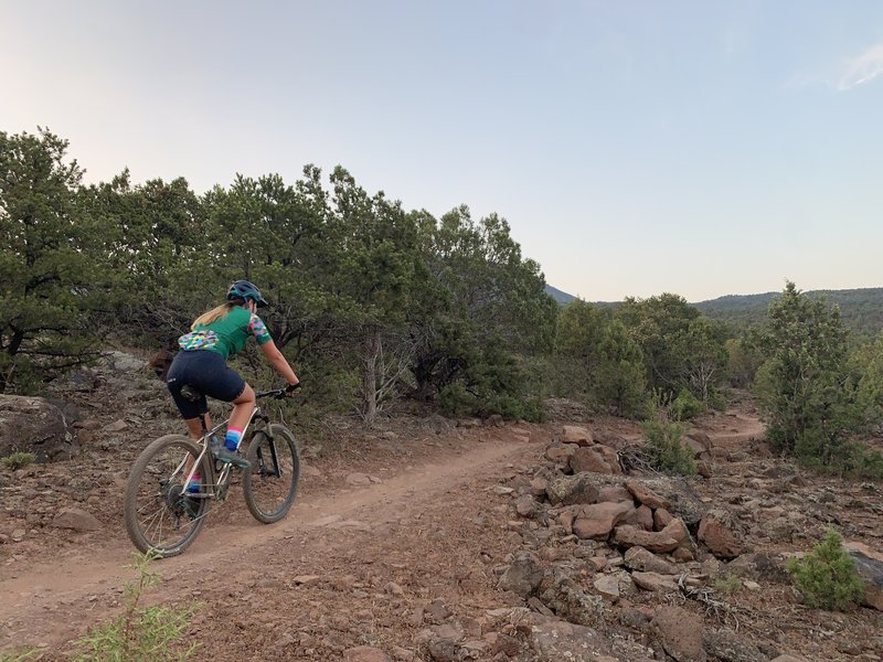 Riding along one of the flat spots on Lichen It.