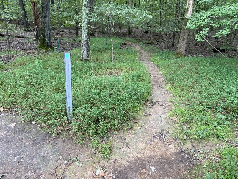 Green trail is to the left.